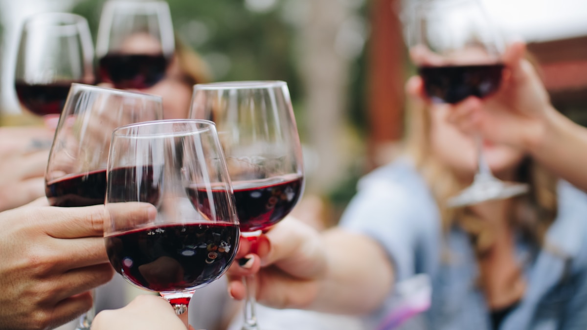 MOMIK WineCube & Gastro Yard